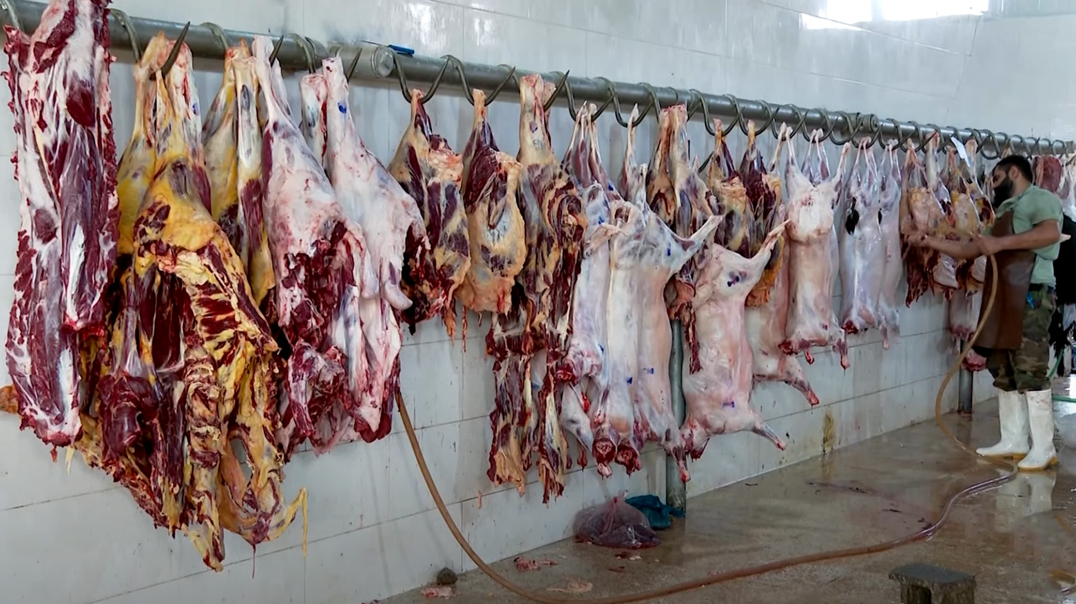 لە سۆران ڕێگری لە بڵاو بوونەوی تای خوێنبەربوون دەکرێت