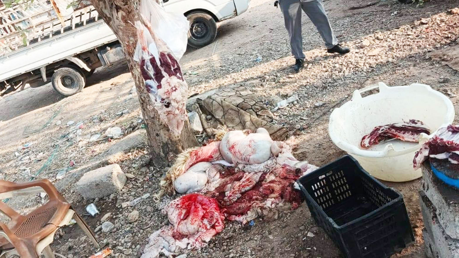 توقيف 10 أشخاص في أربيل بسبب ذبح الأضاحي خارج المسالخ
