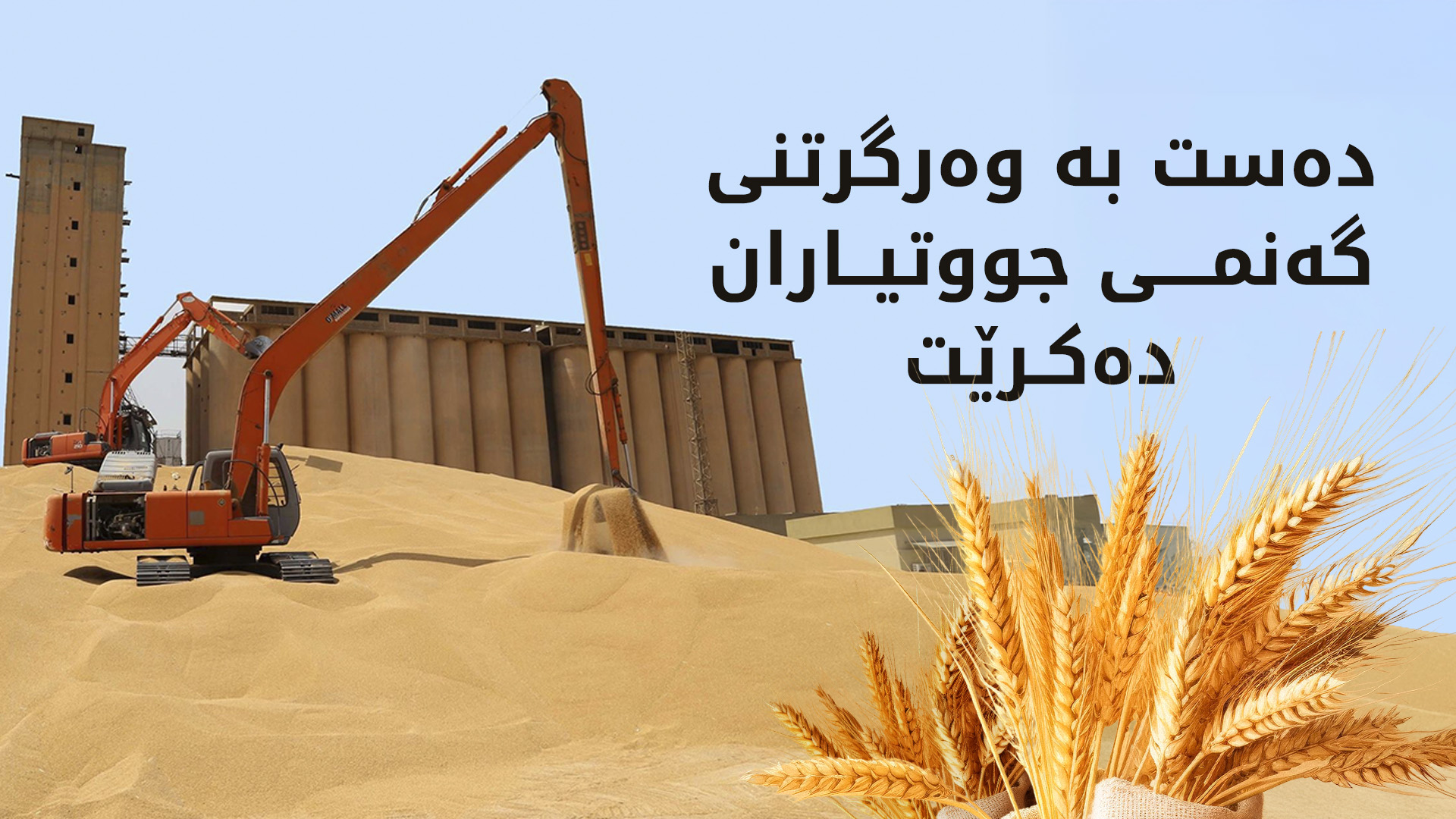 لە سبەینێوە گەنمی جووتیاران وەردەگیرێت
