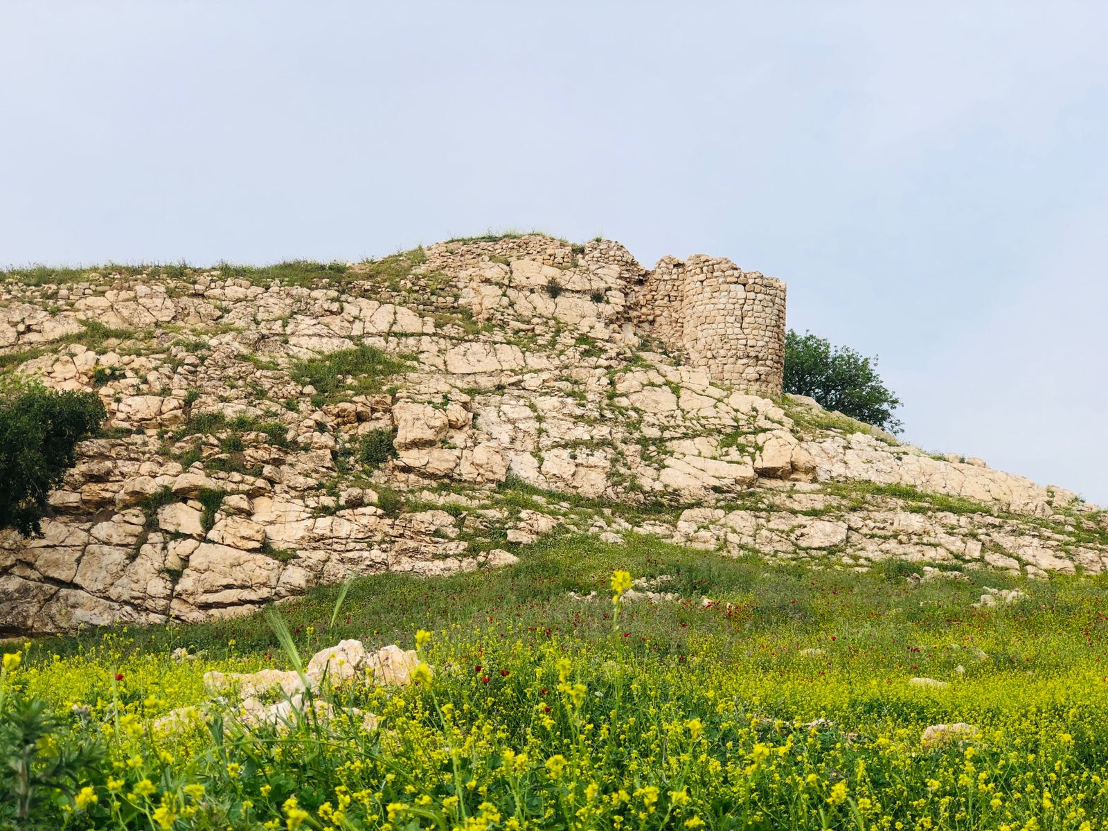 Dween castle. (Photo: Kurdistan24)