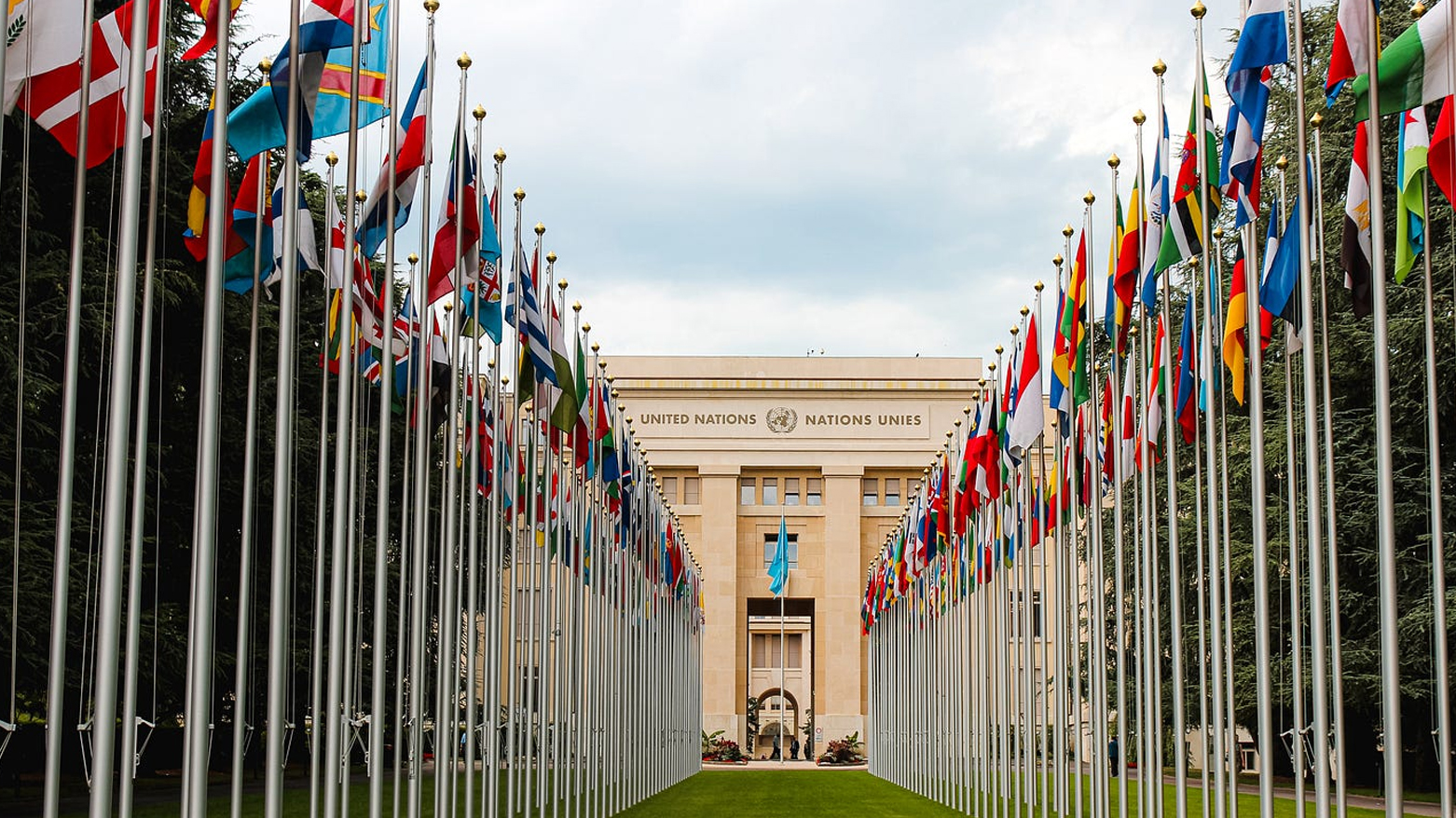 الأمم المتحدة تعلن تقليصاً كبيراً لبرنامج مساعداتها بسبب نقص التمويل