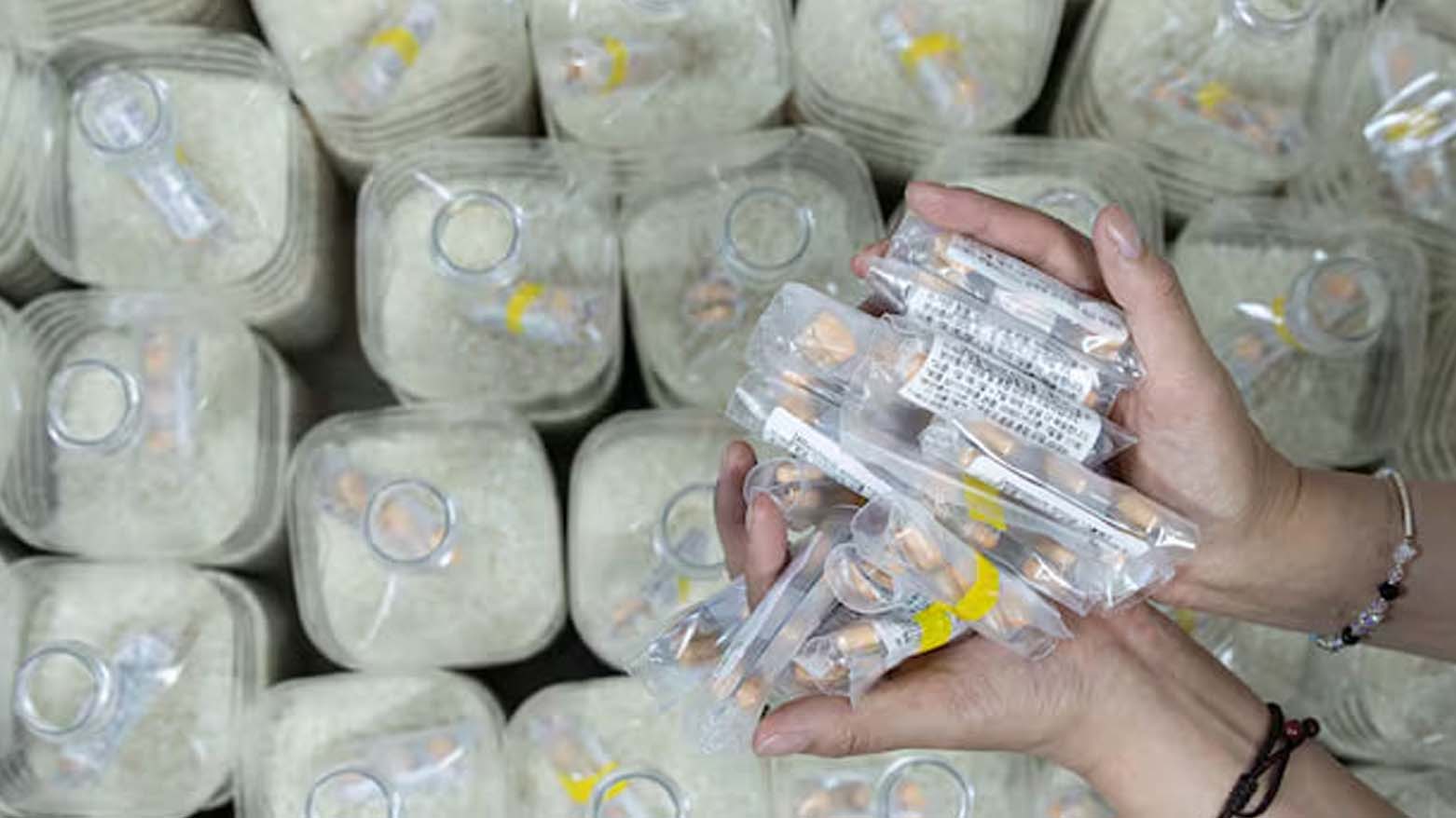 کره جنوبی آمریکایی‌هایی را که قصد ارسال انجیل به کره شمالی داشتند دستگیر کرد