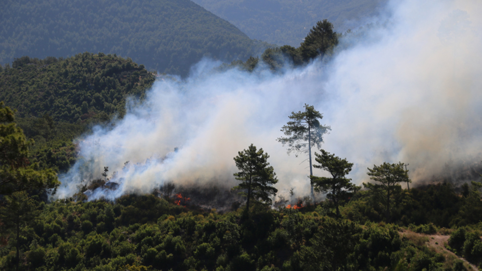 Maraş dahil 6 ilde orman yangını