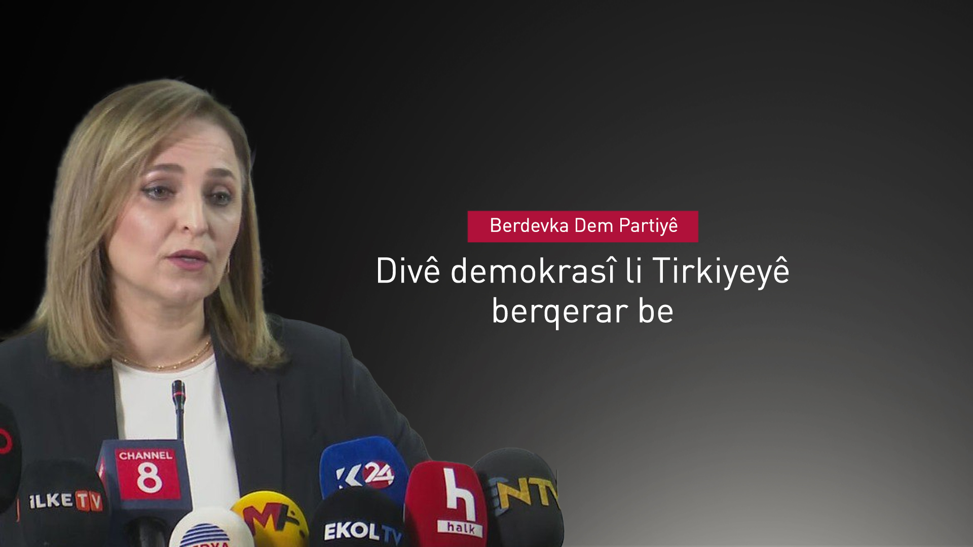 Dem Partî: Divê çek bi temamî bên danan