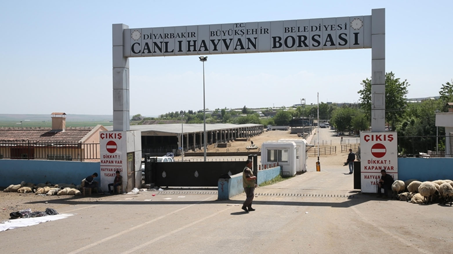 Diyarbakır'da hayvan pazarı kapatıldı