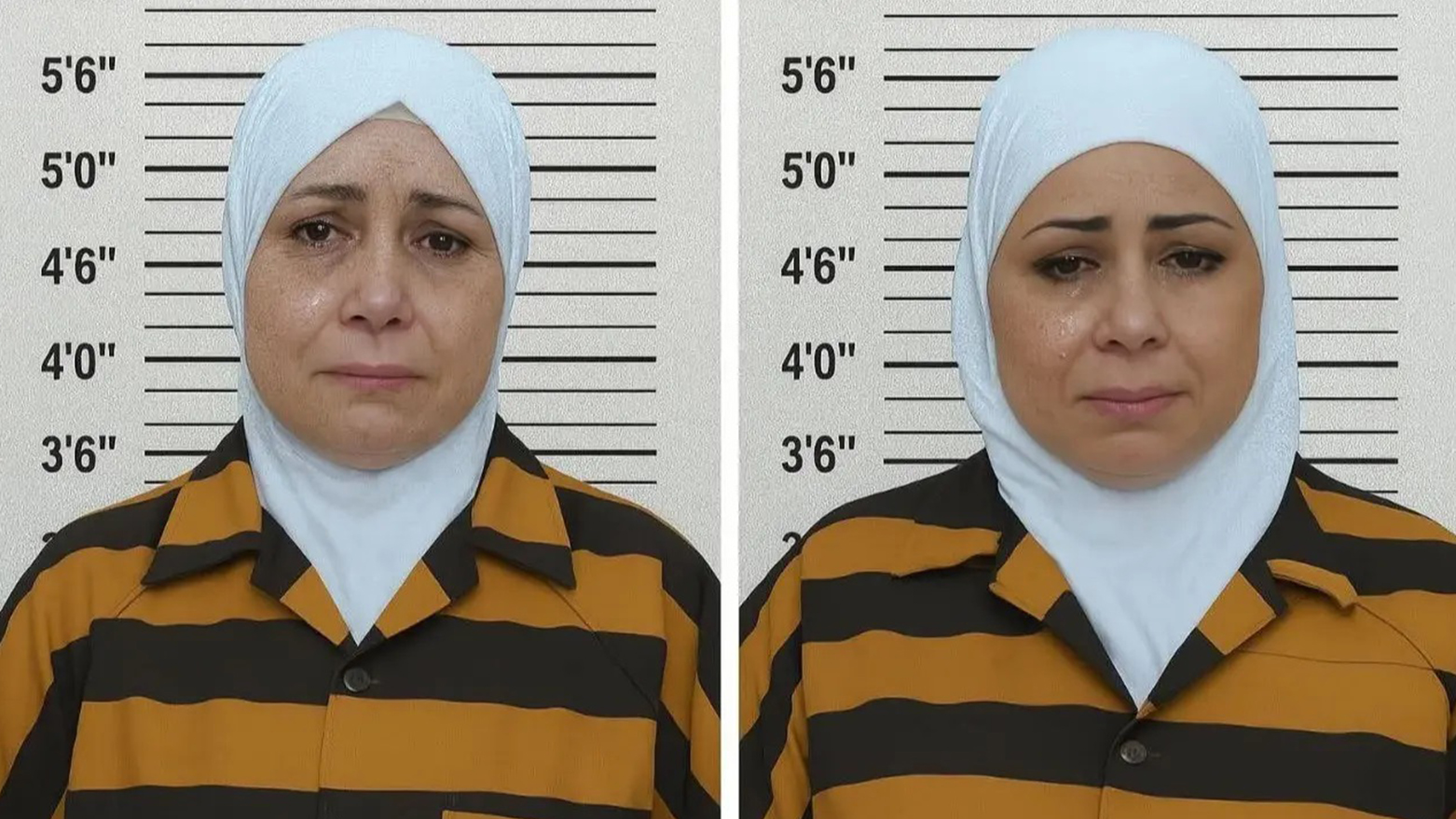 Du wezîrên berê yên rêjîma Esed hatin girtin