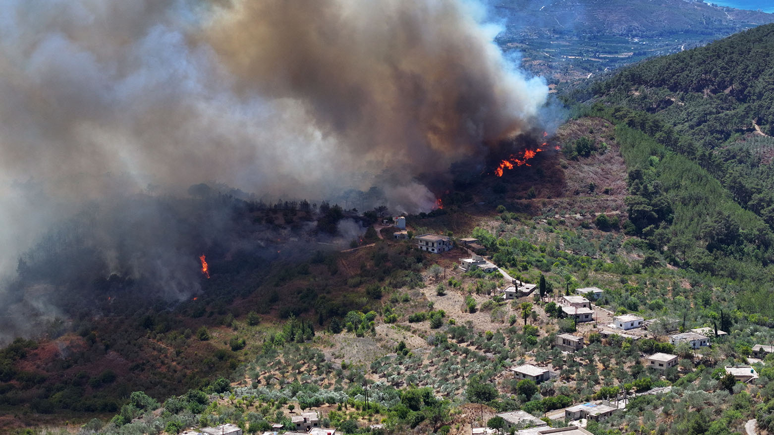 الحرائق مستمرة لليوم الرابع في اللاذقية والسلطات تصفها بأنها "كارثية"