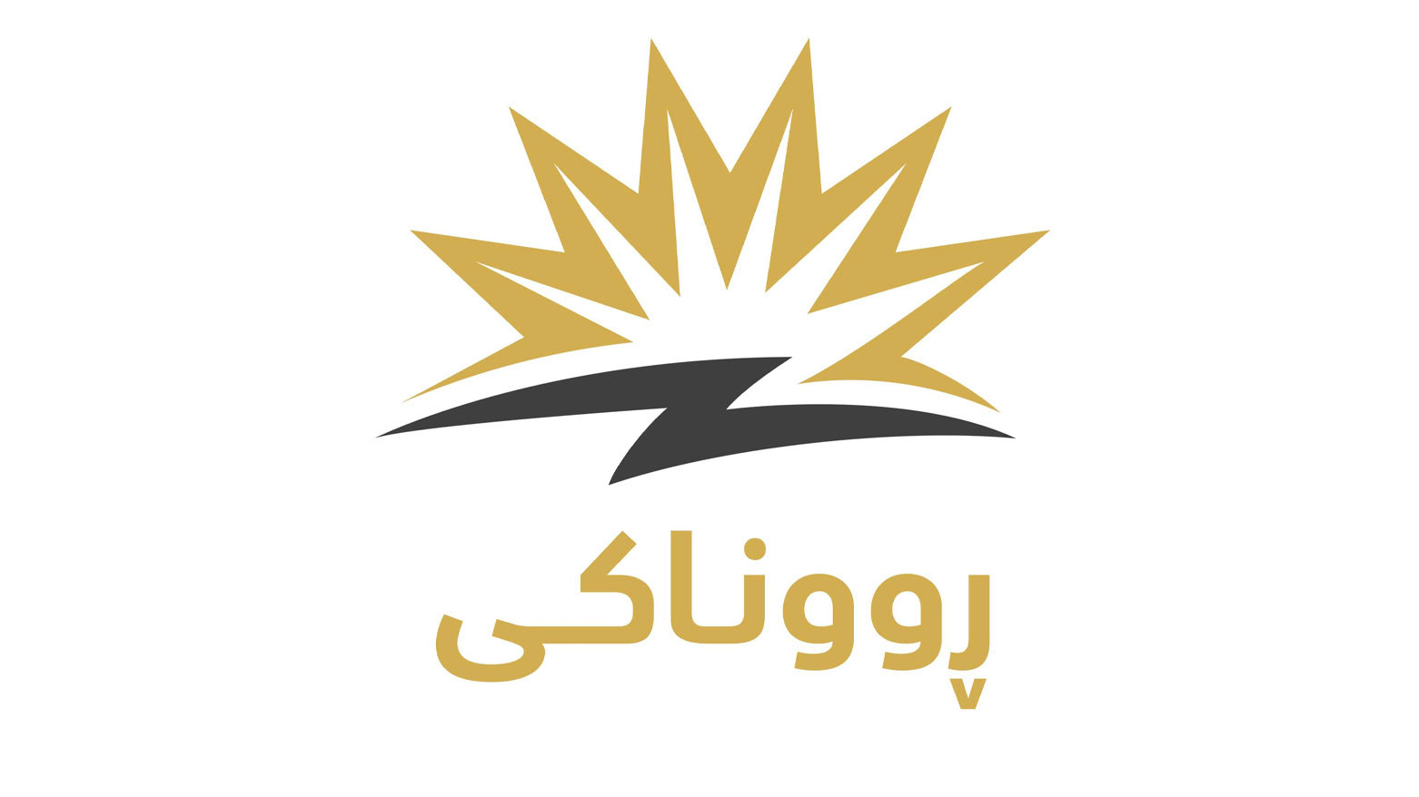 مشروع روناكي يصل إلى كافة أحياء مركز مدينة السليمانية