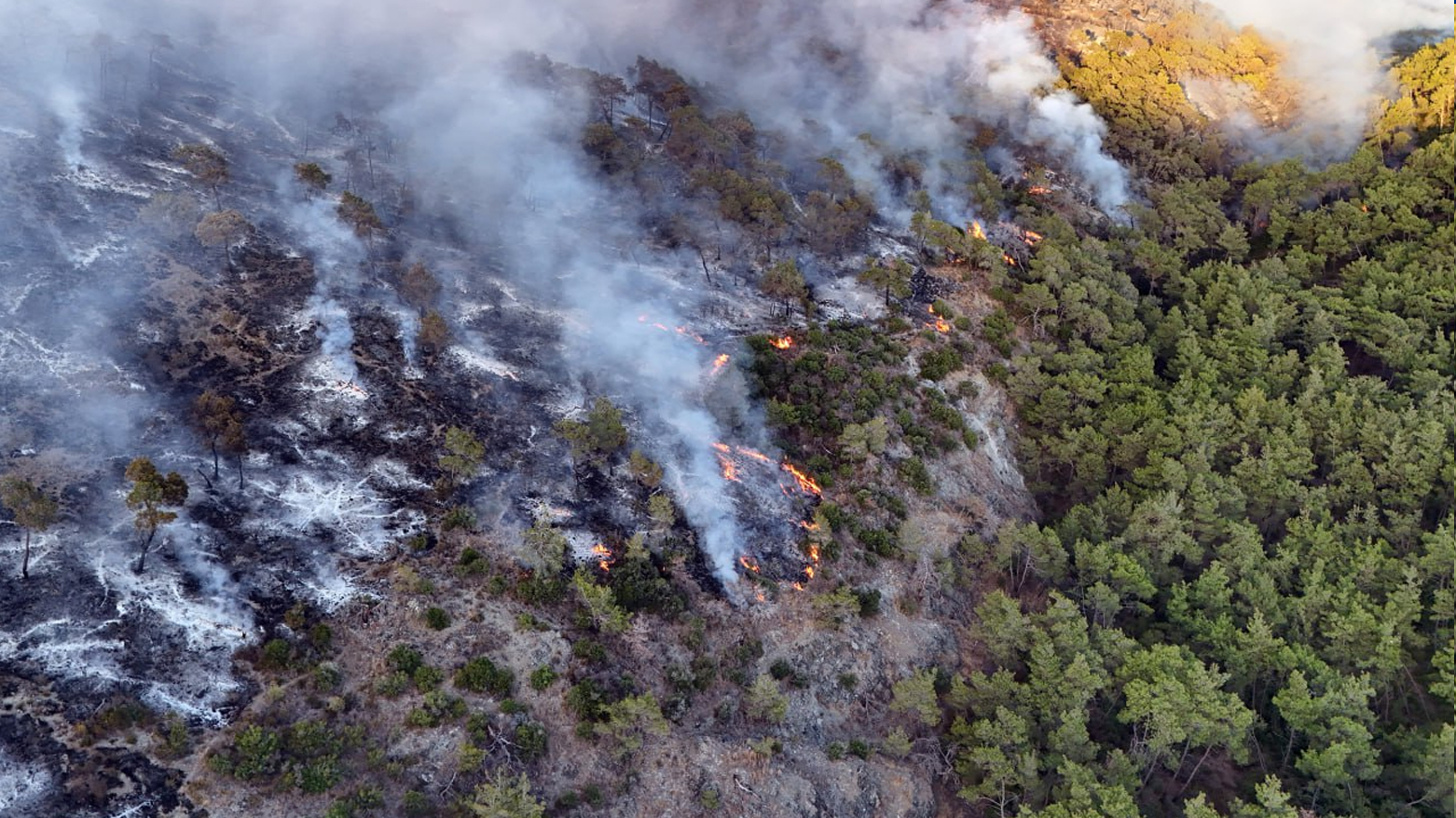 The wiled Fire in Mount Al-Basit, Latakia. (Photo: SANA)