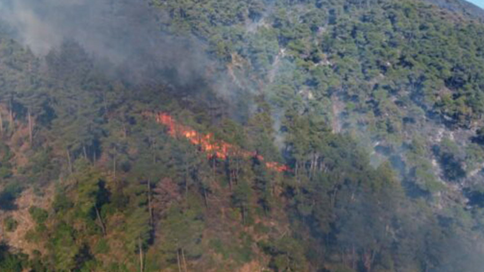 فرق من الرقة والحسكة ودير الزور تشارك في إخماد الحرائق بريف اللاذقية