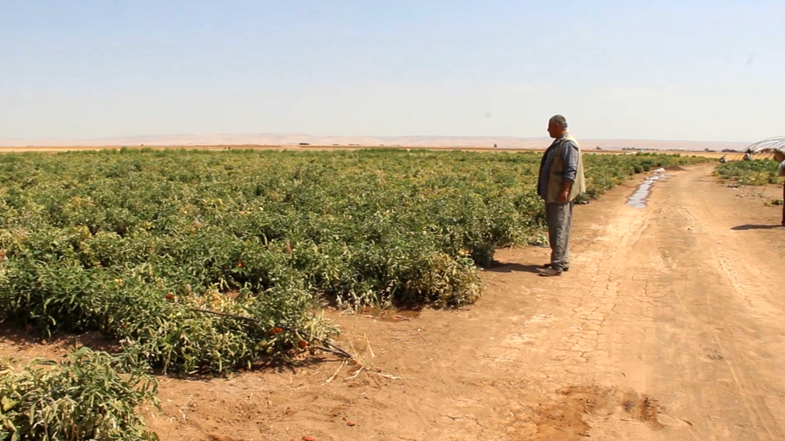 Cotkarên Rojavayê Kurdistanê: Em di bin barê giran de ne