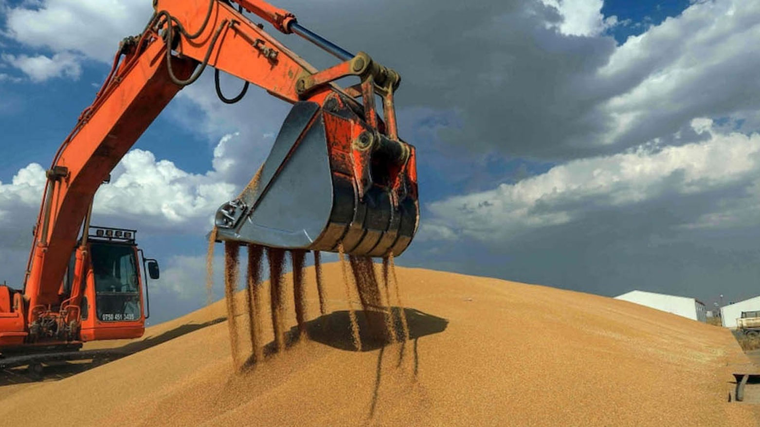 تجارة كوردستان تحدّد الموعد النهائي لاستلام القمح من مزارعي الإقليم