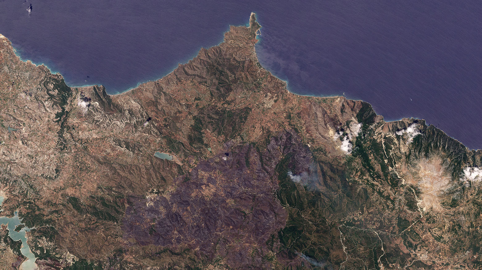 الدفاع المدني السوري يعلن السيطرة على معظم الحرائق في غرب البلاد