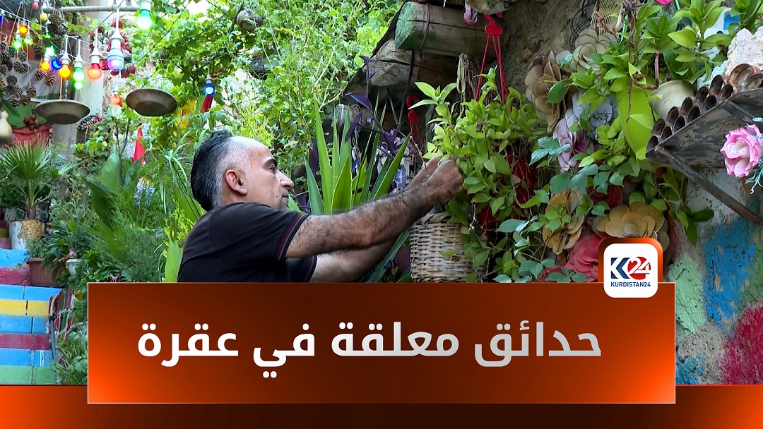 شاب من ئاكرێ (عقرة) يحوّل زقاقاً قديماً إلى حديقة صغيرة