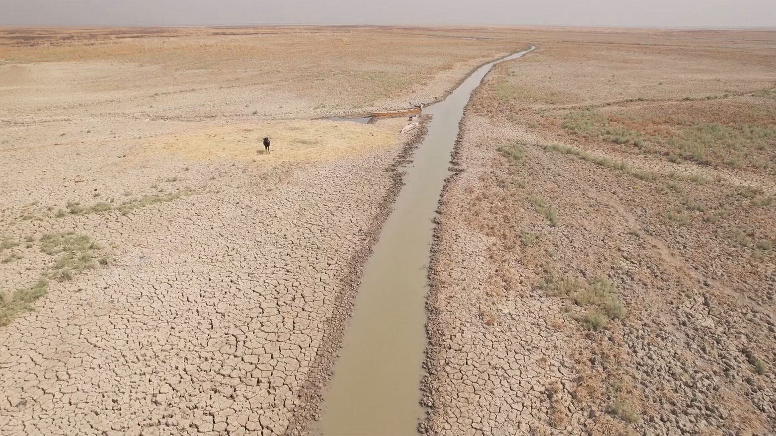 A severely drought-stricken landscape with cracked, dry earth stretching across a wide area in Dhi Qar province. (Photo: Kurdistan24)