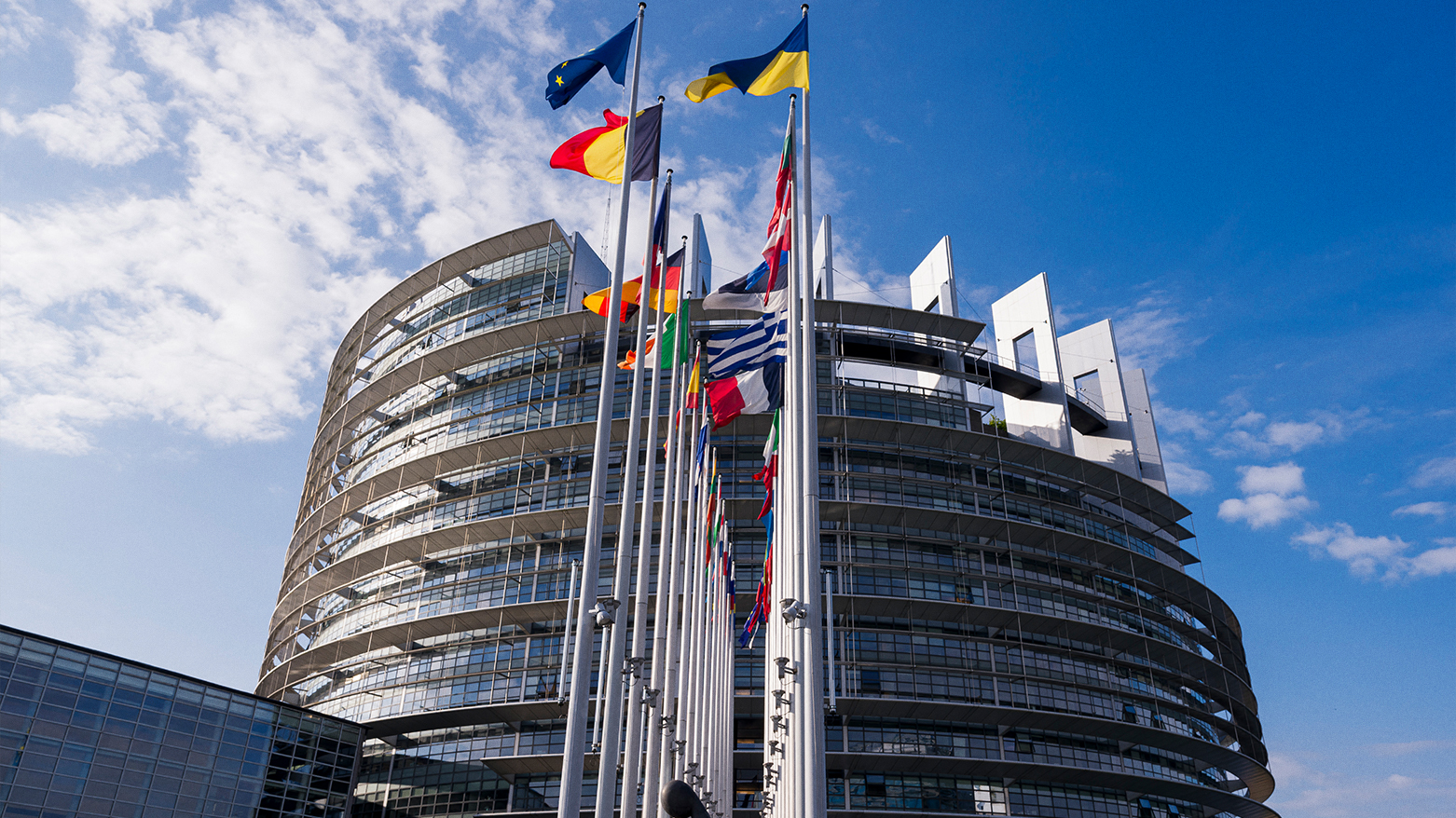 Flags of the member states flutter in front of the European Parliament in Strasbourg, eastern France on July 9, 2025. (Photo: AFP)