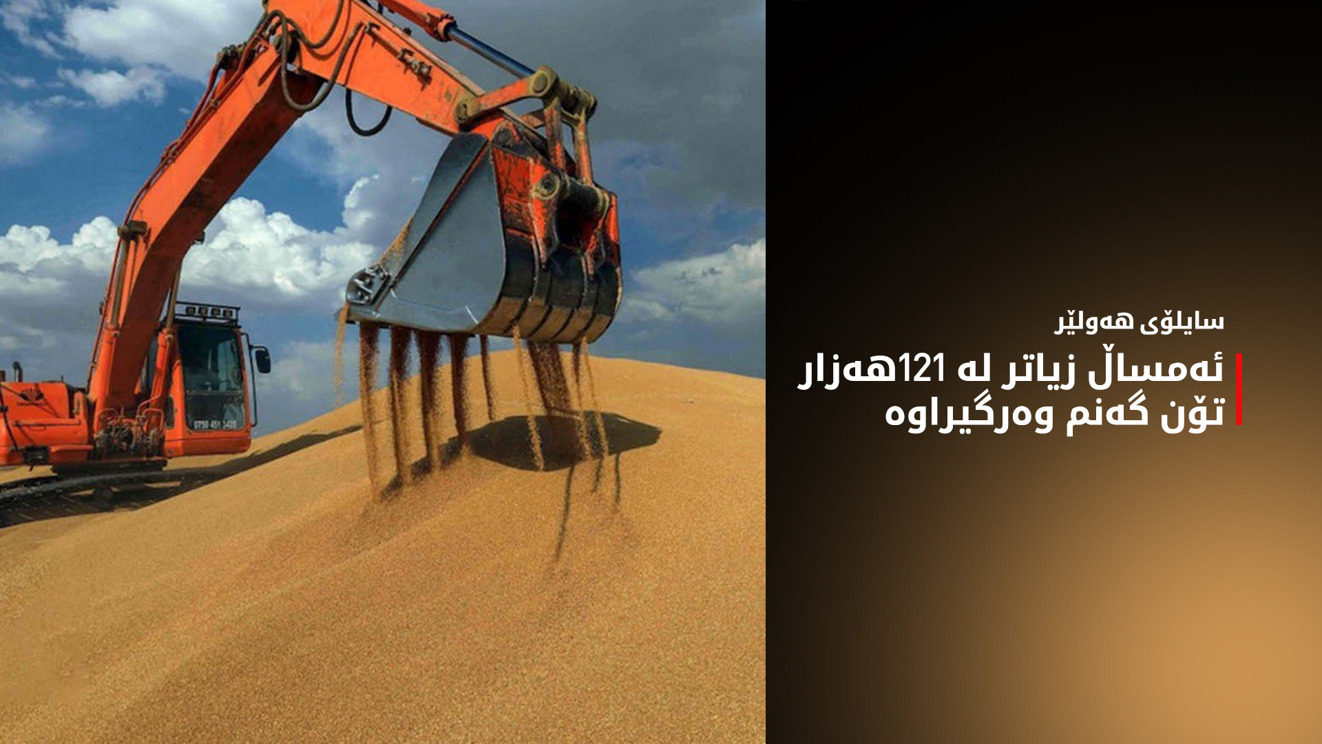 سایلۆی هەولێر: ئەمساڵ زیاتر لە 121هەزار تۆن گەنم وەرگیراوە
