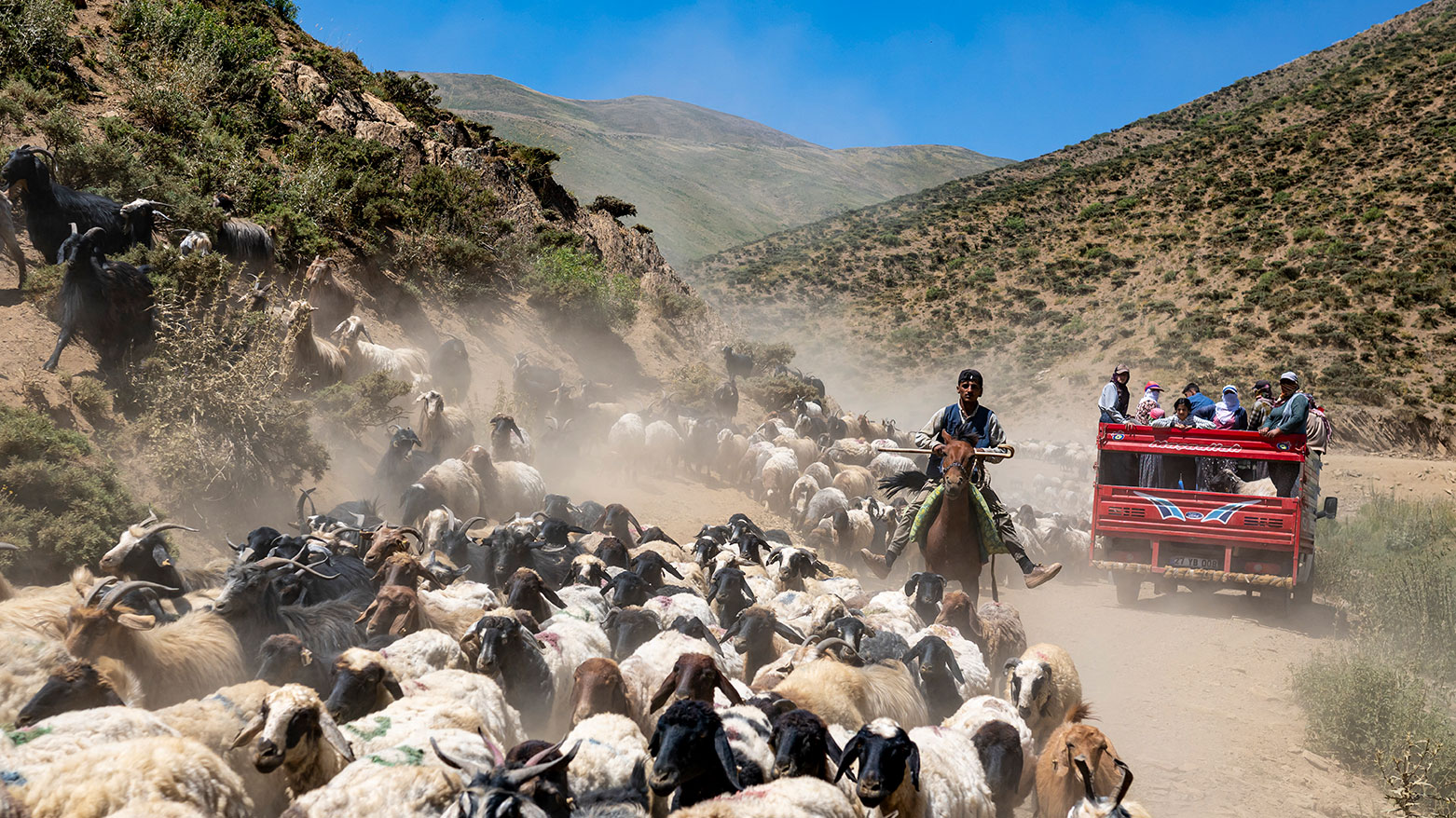 Kurdish workers sit in the back of a truck as it drives past a flock of sheep in the mountains of Turkey's southeastern Hakkari province on July 12, 2025. (Photo: AFP)