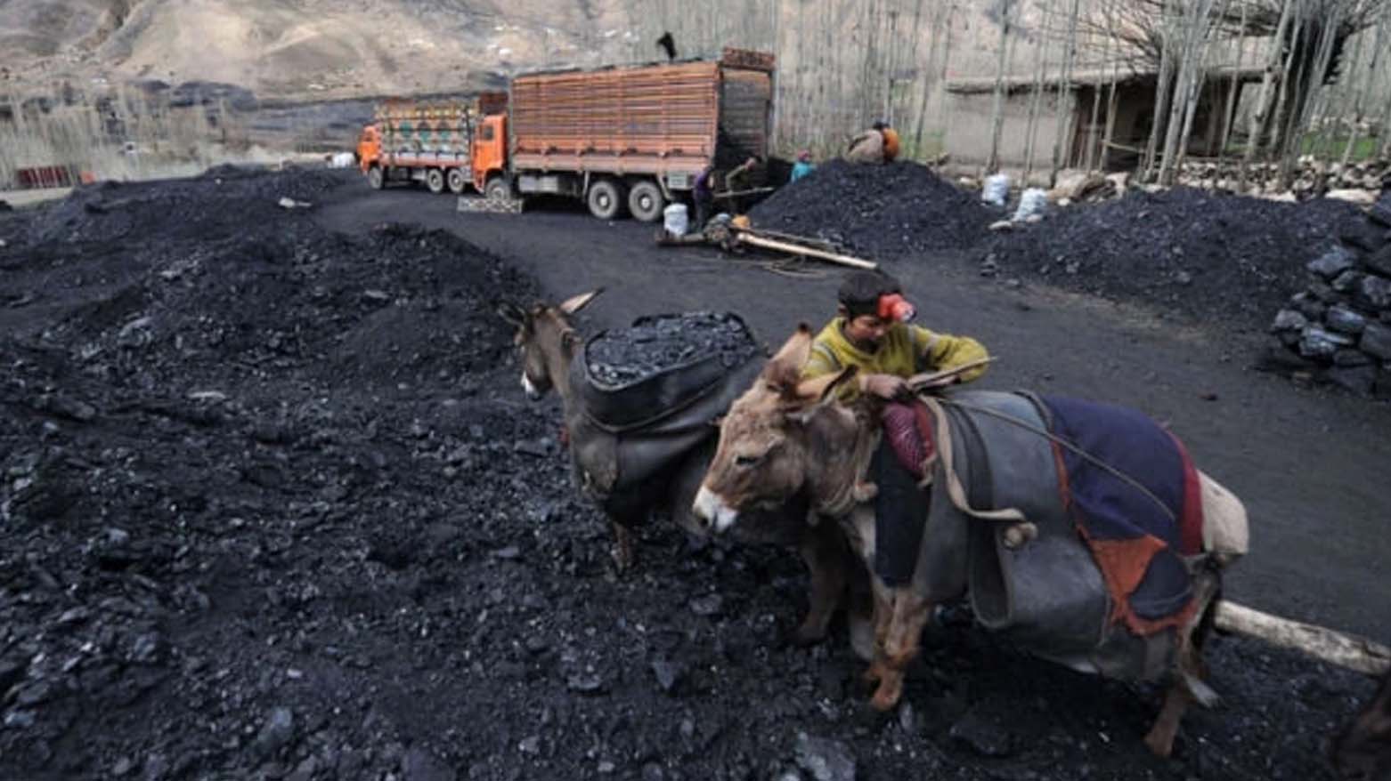 عکس: خبرگزاری فرانسه