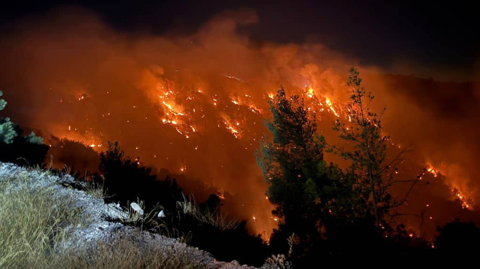 wildfire burning through a forested mountain in Afrin region on Jul. 23, 2025. (Photo: Kurdistan24)