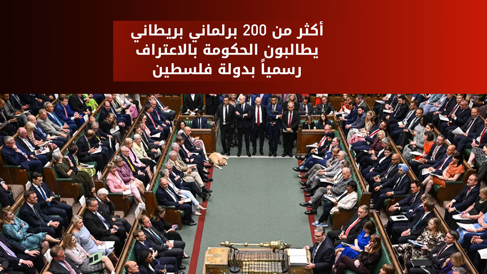 الاعتراف بدولة فلسطين يتصدر المشهد السياسي في بريطانيا