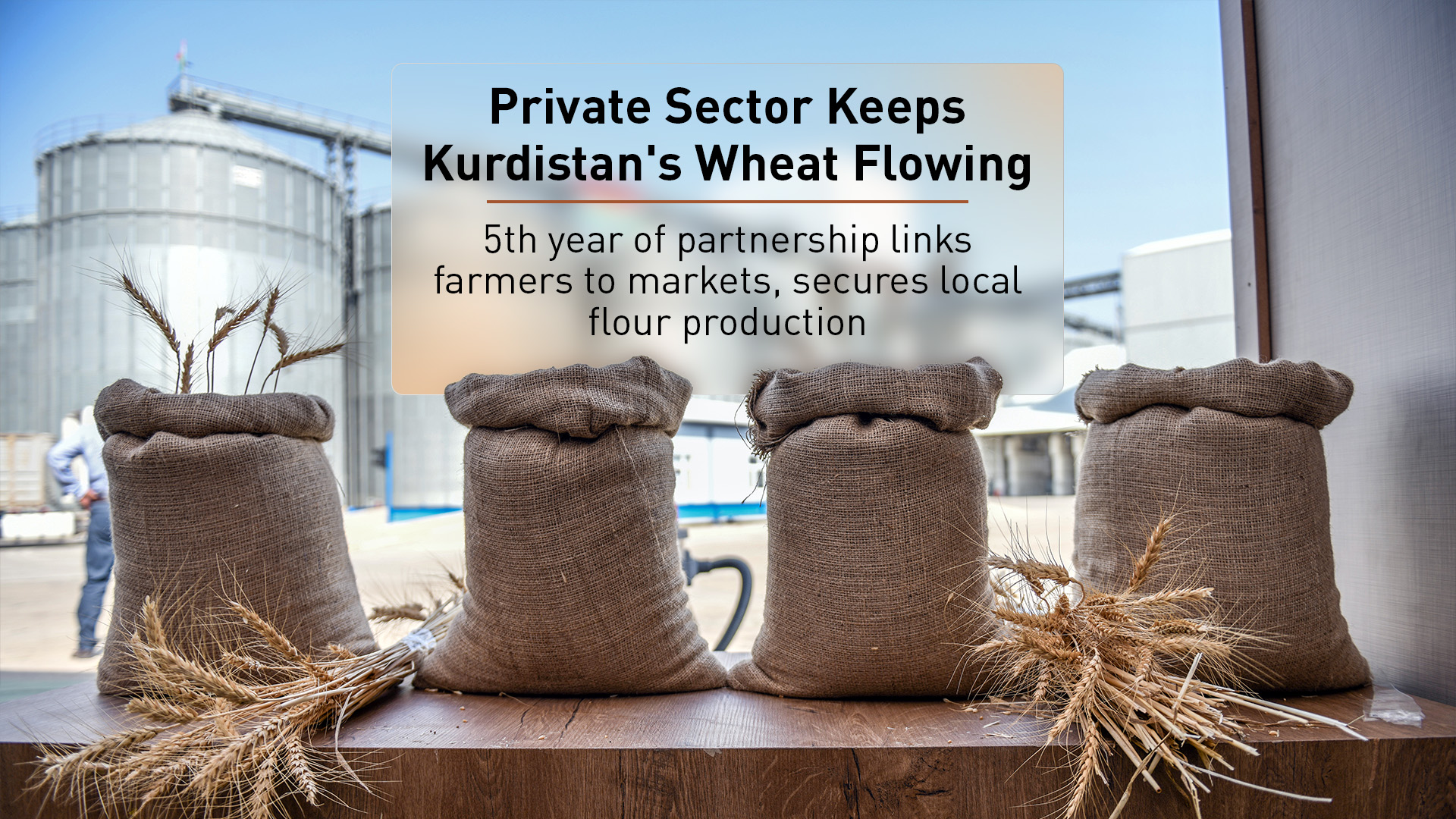 Bags of harvested wheat are displayed in front of grain silos at a processing facility in the Kurdistan Region. (Photo: KRG)