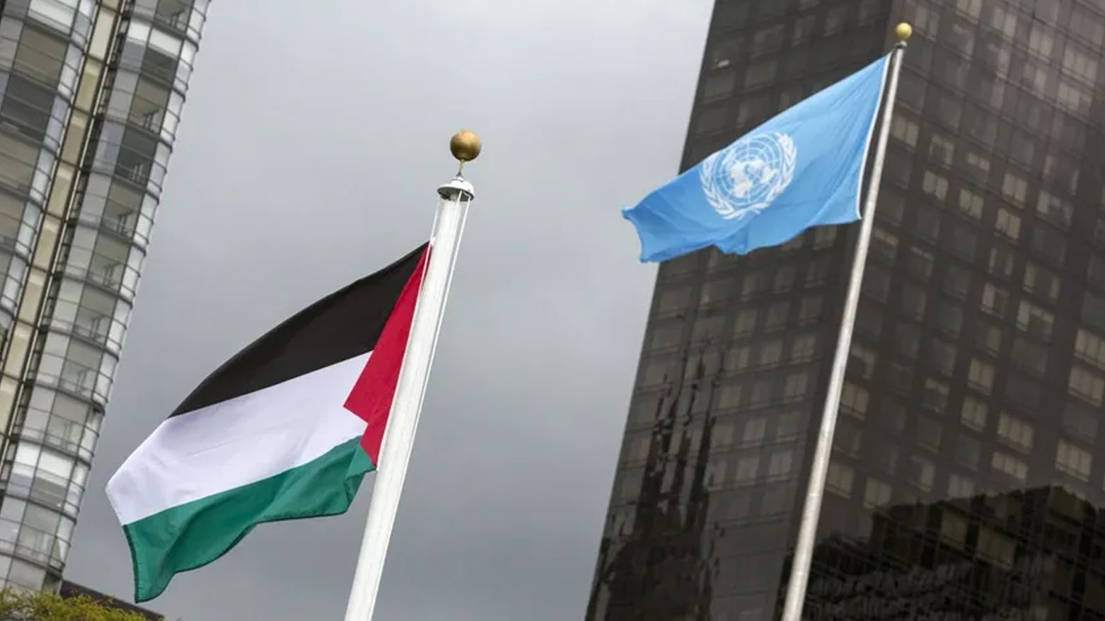 مؤتمر "حل الدولتين" لتسوية قضية فلسطين ينطلق في الأمم المتحدة