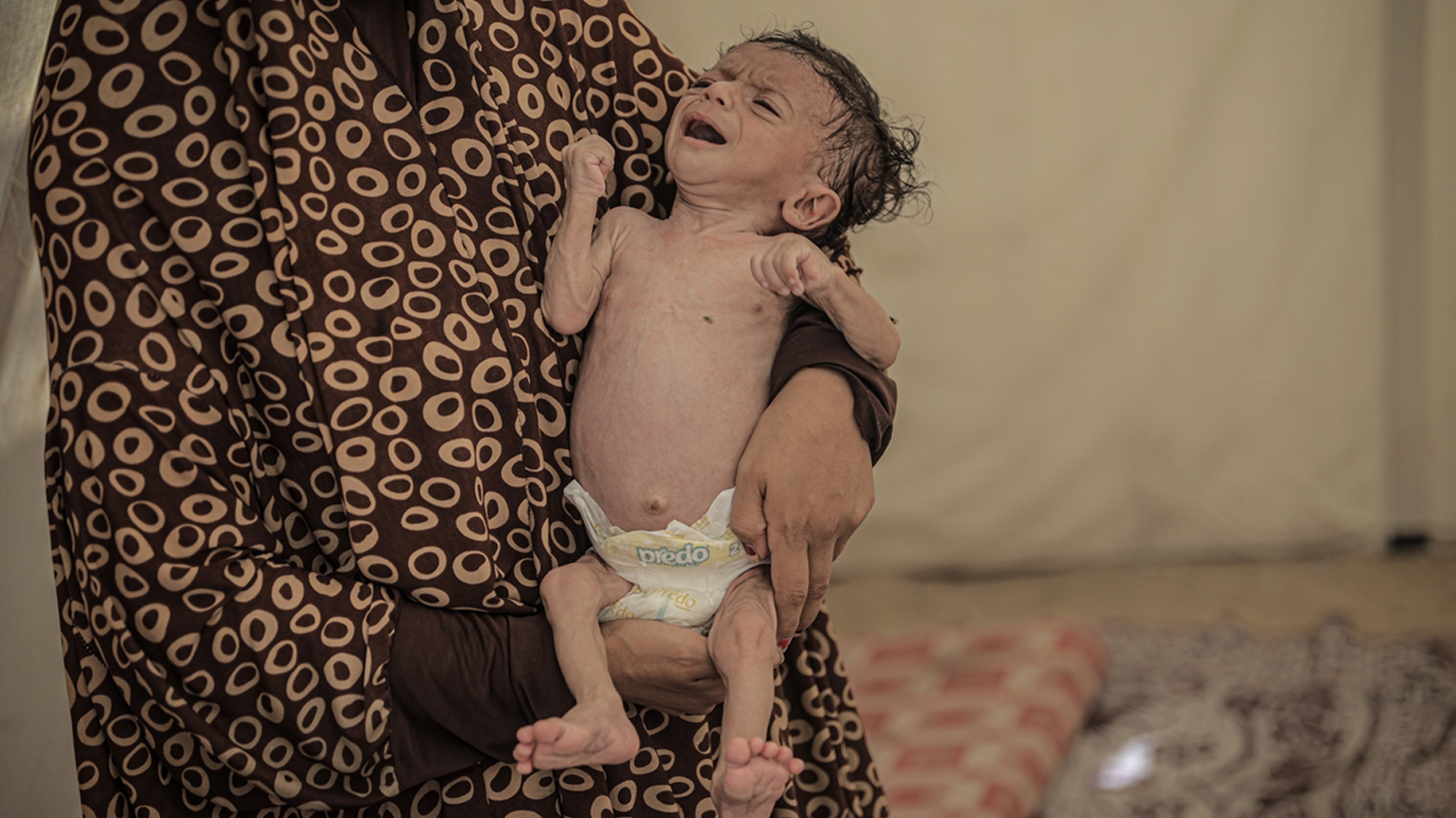 تصنيف الأمن الغذائي التابع للأمم المتحدة: أسوأ سيناريو مجاعة يحصل الآن في قطاع غزة