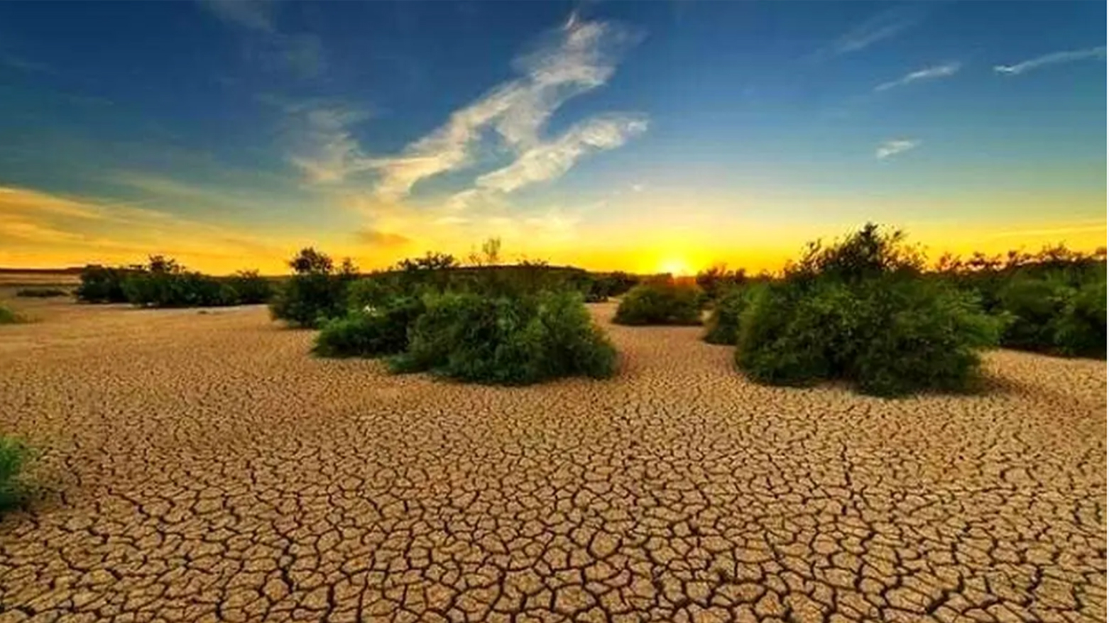 بحران آب در سنندج؛ تهدید محیط زیست و کشاورزی در استانی پرآب