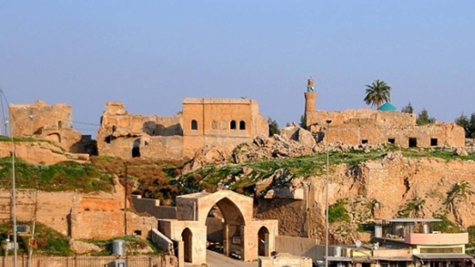 شارەوانیی کەرکووک: دەبێت هه‌موو كه‌سێك له‌ به‌رده‌م ده‌رگای ماڵه‌كه‌یدا دوو نه‌مام بچێنێت