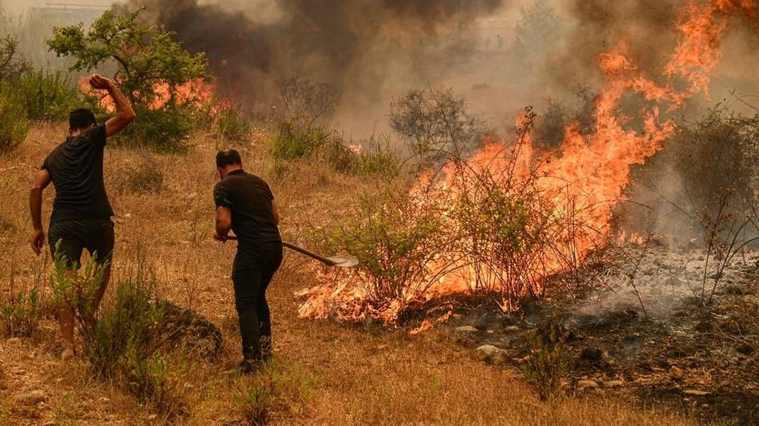 حرائق غابات في شمالي البرتغال (أرشيفية)