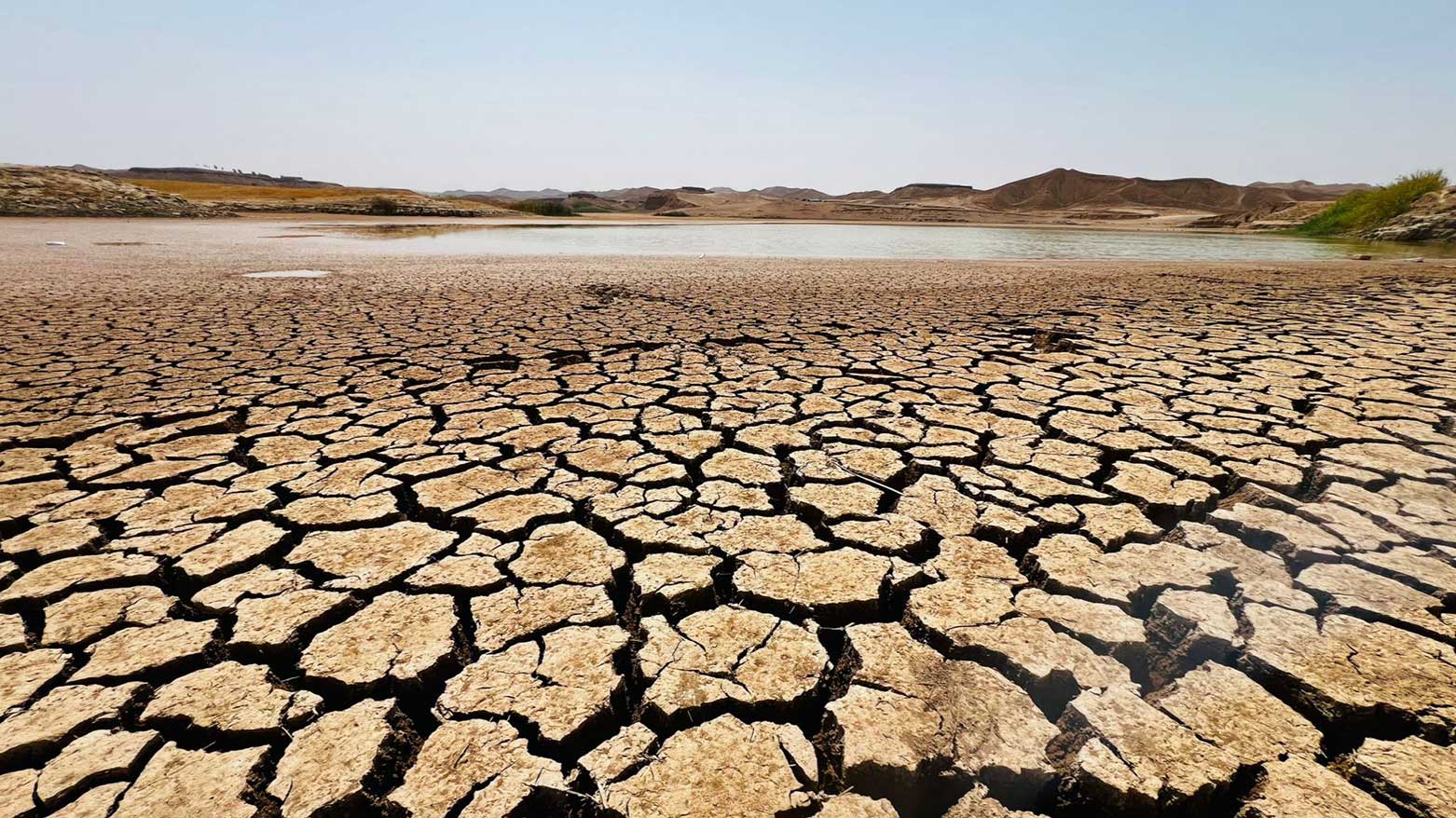 Hişkbûna bendava Qedir Keremê bandor li ajalandar, kanî û bîran kiriye