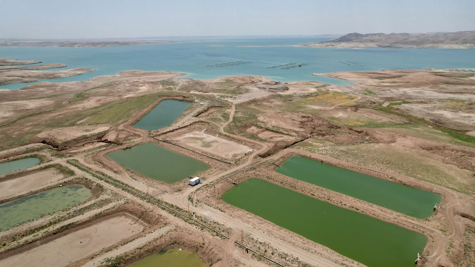 Mezintirîn projeya xwedîkirina masiyan li parêzgeha Dihokê / Wêne: Heysem Zawîteyî - Kurdistan24