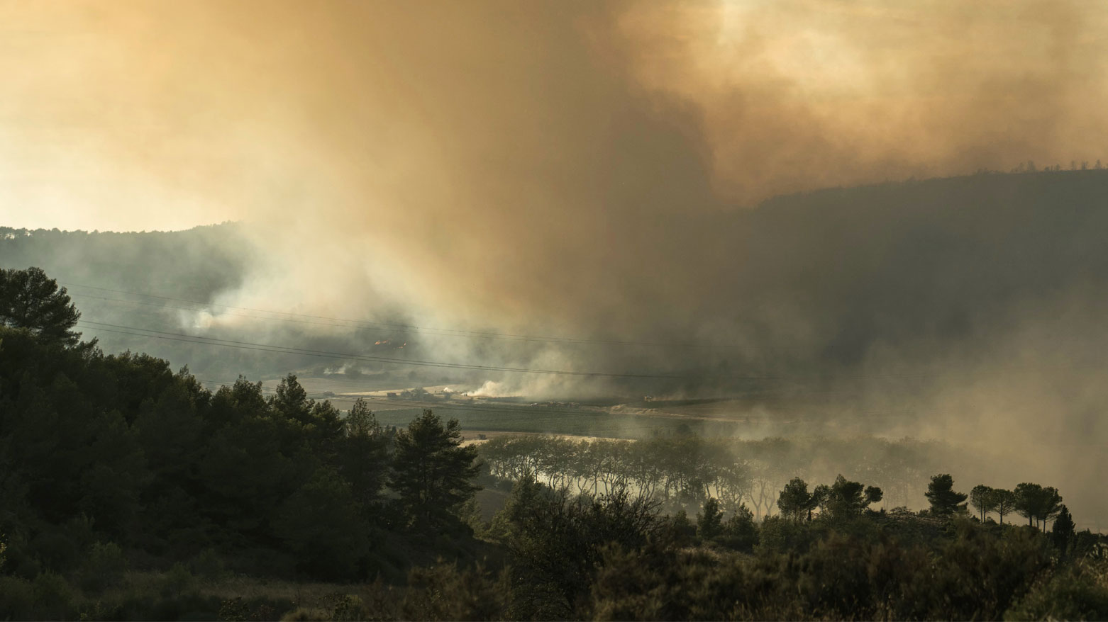 حريق الغابات يلتهم 10 آلاف هكتار من المساحات الخضراء جنوبي فرنسا