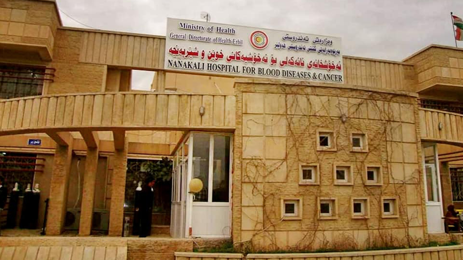 بیمارستان نانه‌کلی