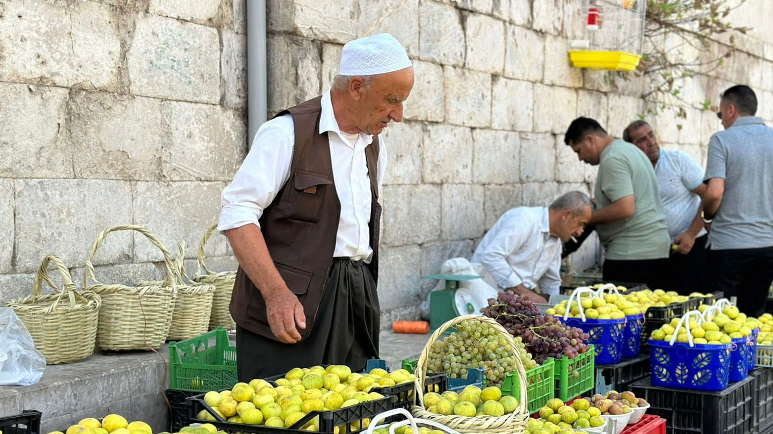 Akre Figs Reach European Markets, Attract Thousands of Local Shoppers