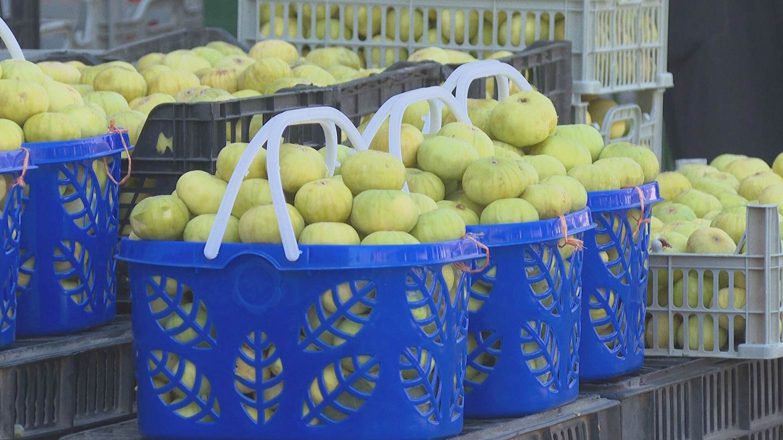 The photo shows Akre figs in a local market. (Photo: Kurdistan24)