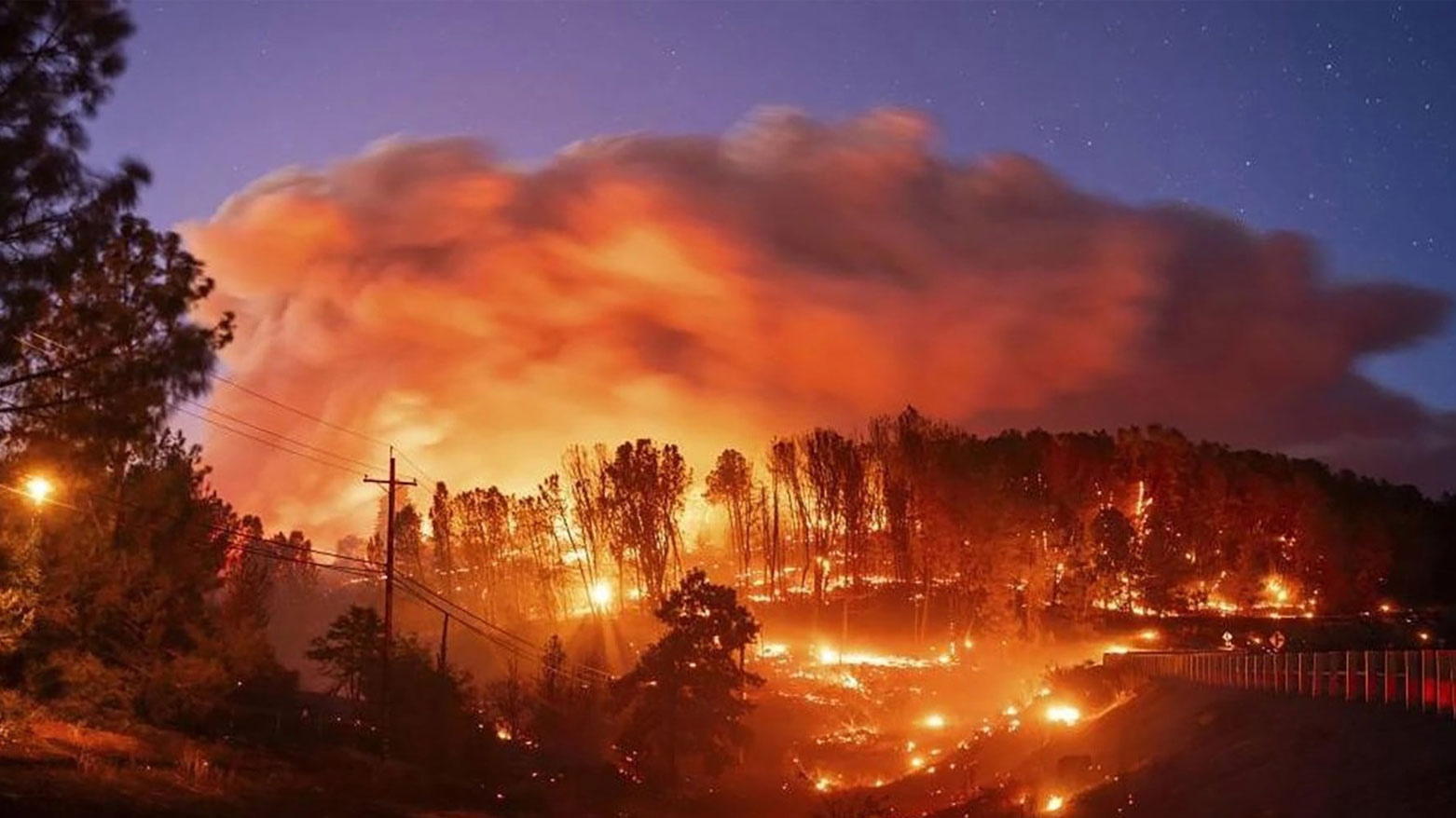 حرائق غابات (تعبيرية)