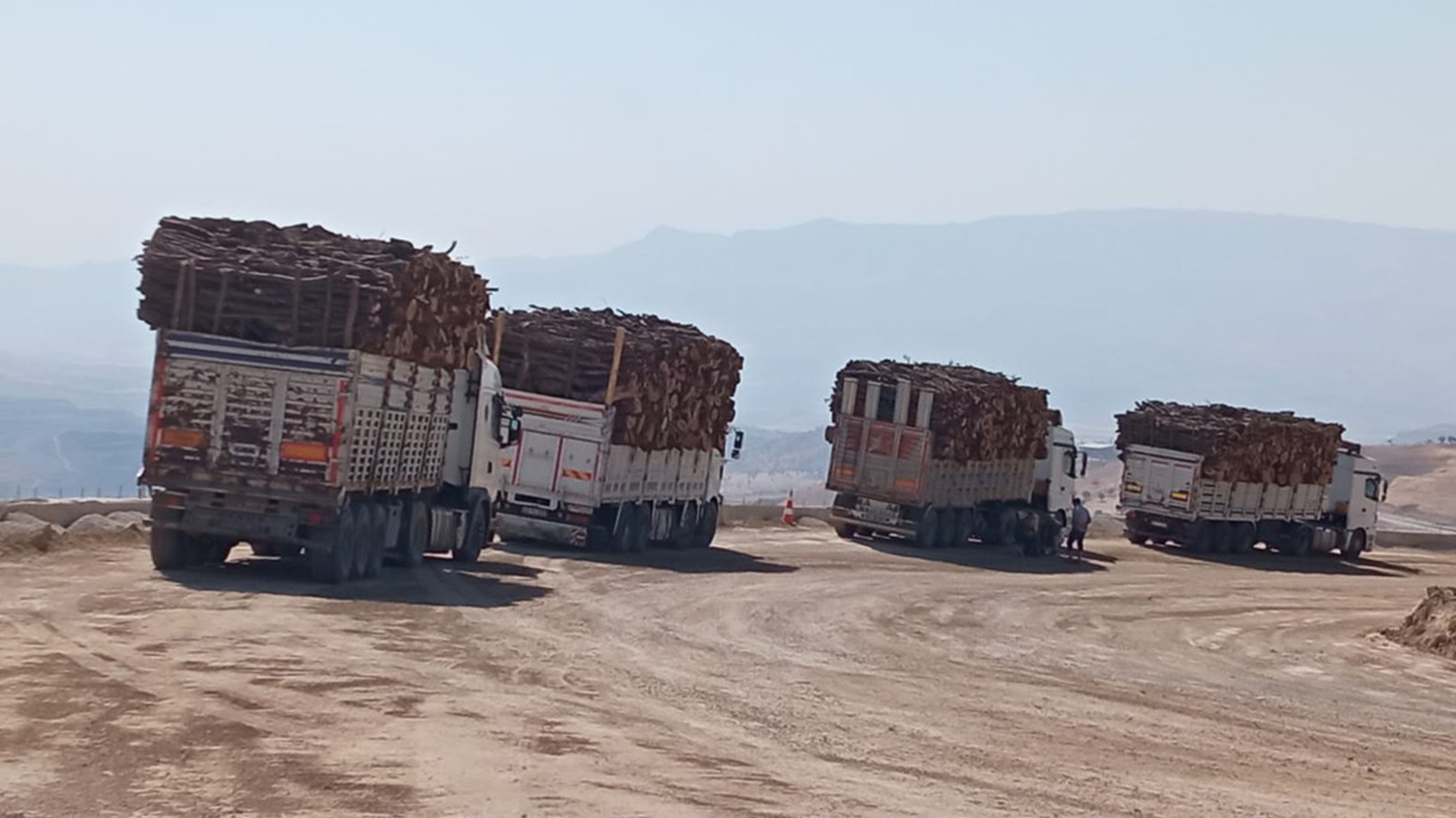 PSK bang dike: Birîna daristanên Şirnexê rawestînin
