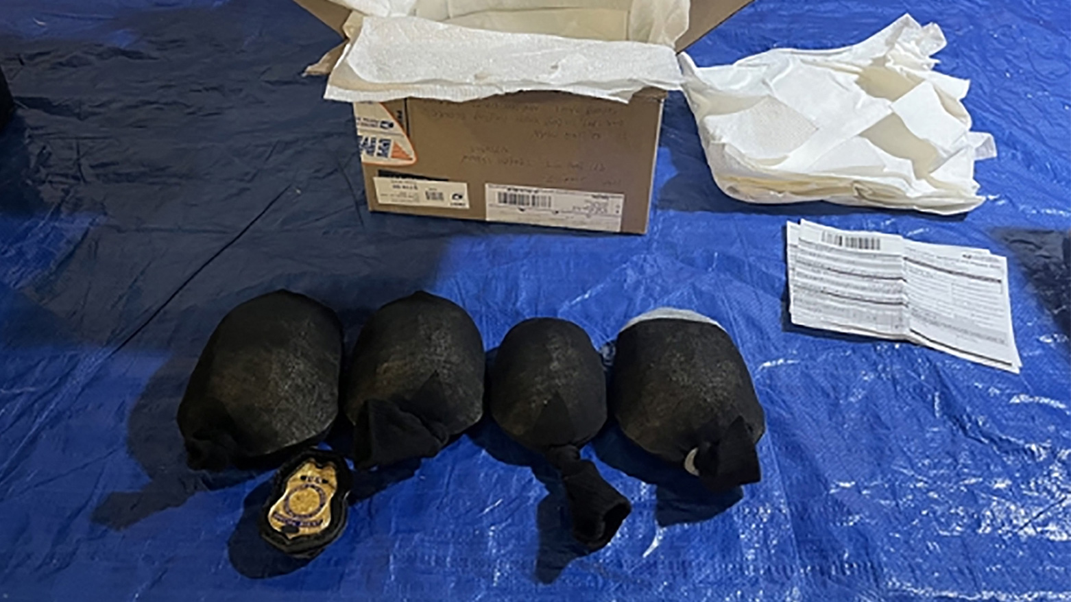 ئەمەریکا..کەسێکی چینی بە تاوانی بە قاچاخبردنی کیسەڵ دەستگیر کرا