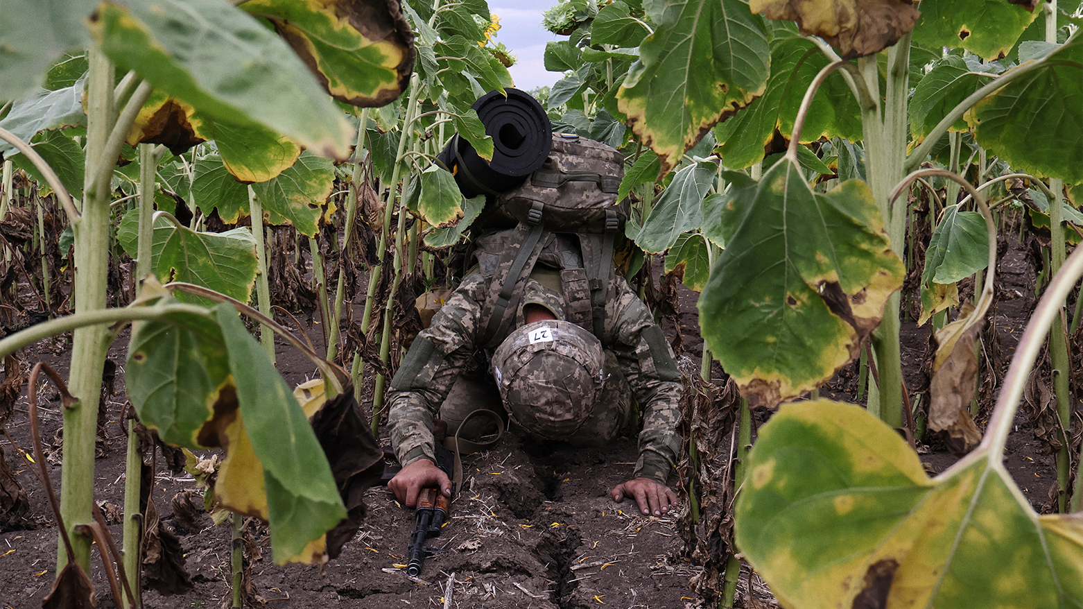 A Ukrainian recruit trains in a sunflower field in Zaporizhzhia, Aug. 11, 2025. (AFP)