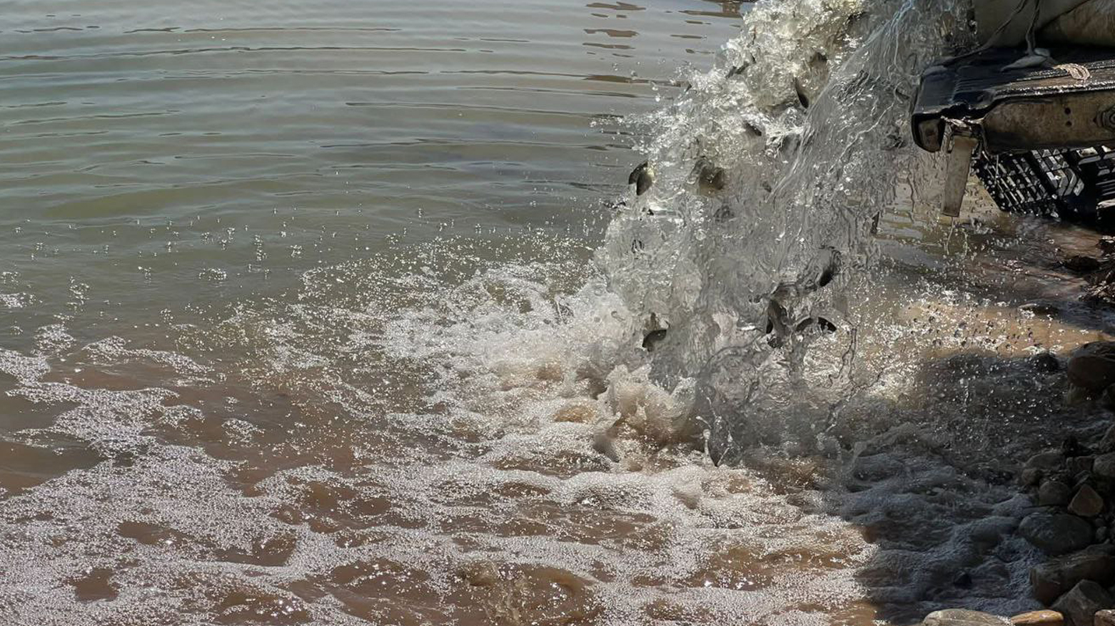 پەنجەماسی 'ئەرشیف'