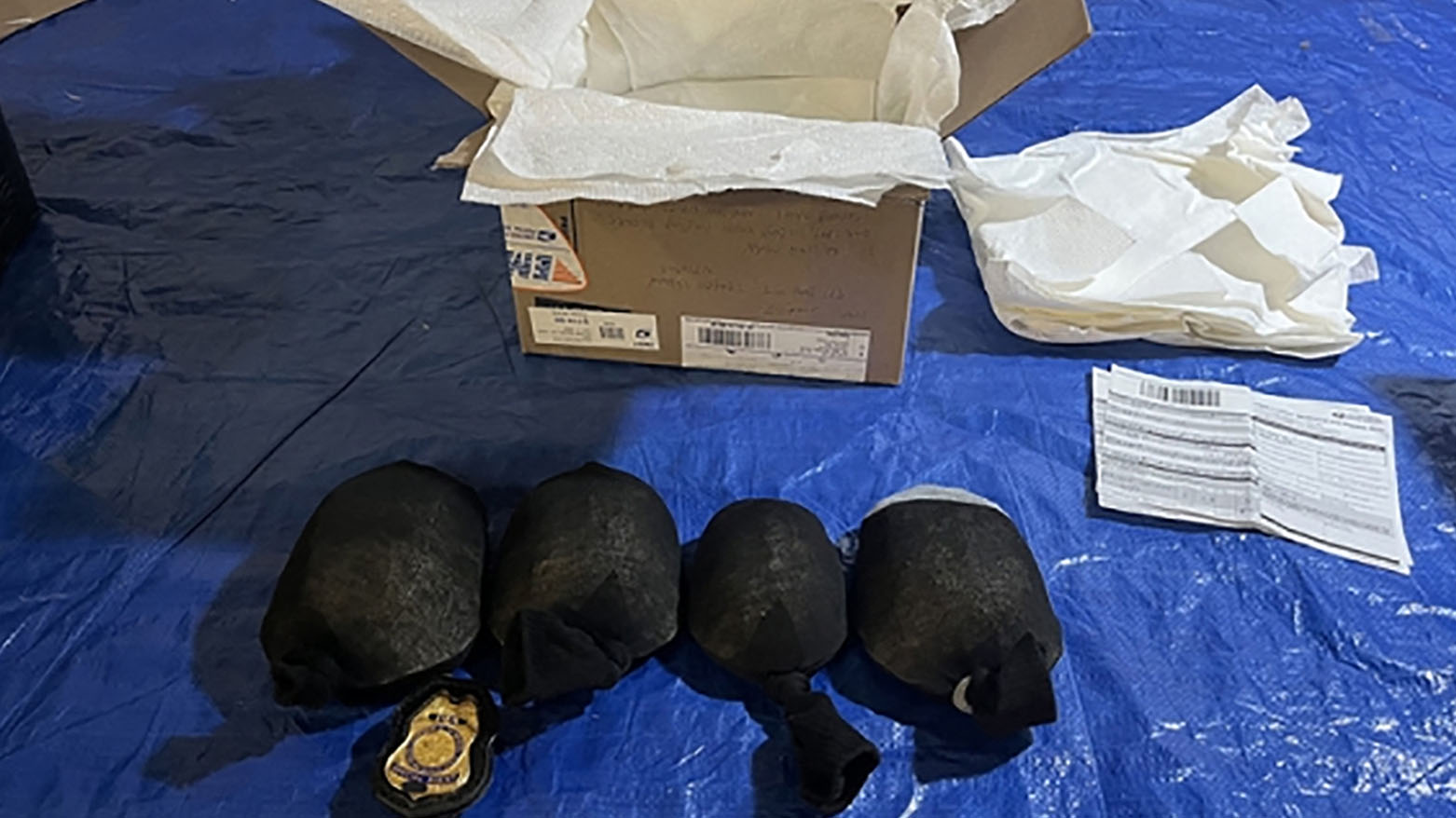 صيني يعترف بتهريب أنواع محمية من السلاحف من الولايات المتحدة إلى هونغ كونغ