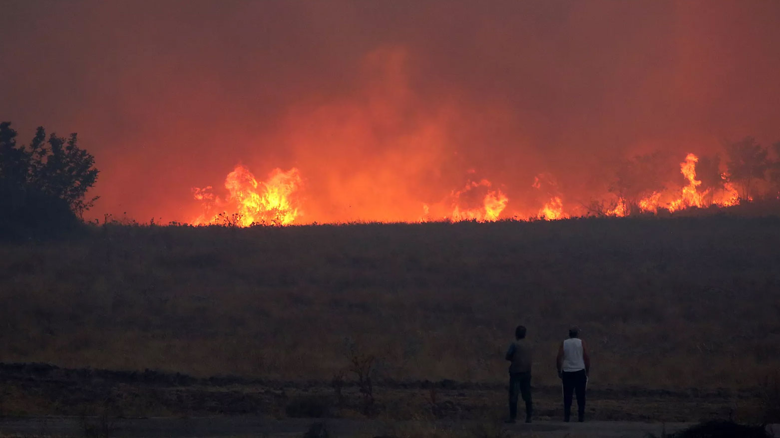 اليونان تطلب دعماً أوروبياً لمواجهة أسوأ حرائق هذا الصيف