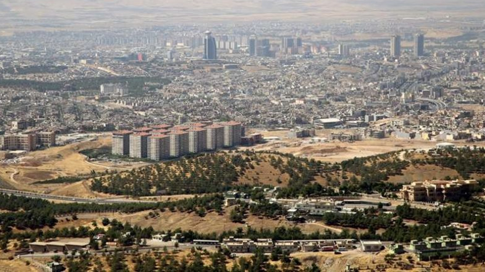 سەرەڕای بێئاوی، سلێمانی هەوڵی زیادکردنی ڕێژەیی سەوزایی دەدات