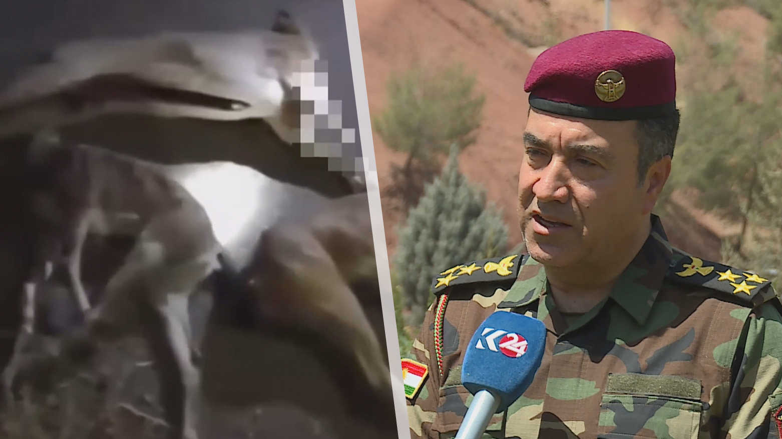 جريمة بيئية تهز دهوك.. مقتل ثلاثة من الماعز البري والجهات الحكومیە تتوعد بملاحقة الجناة