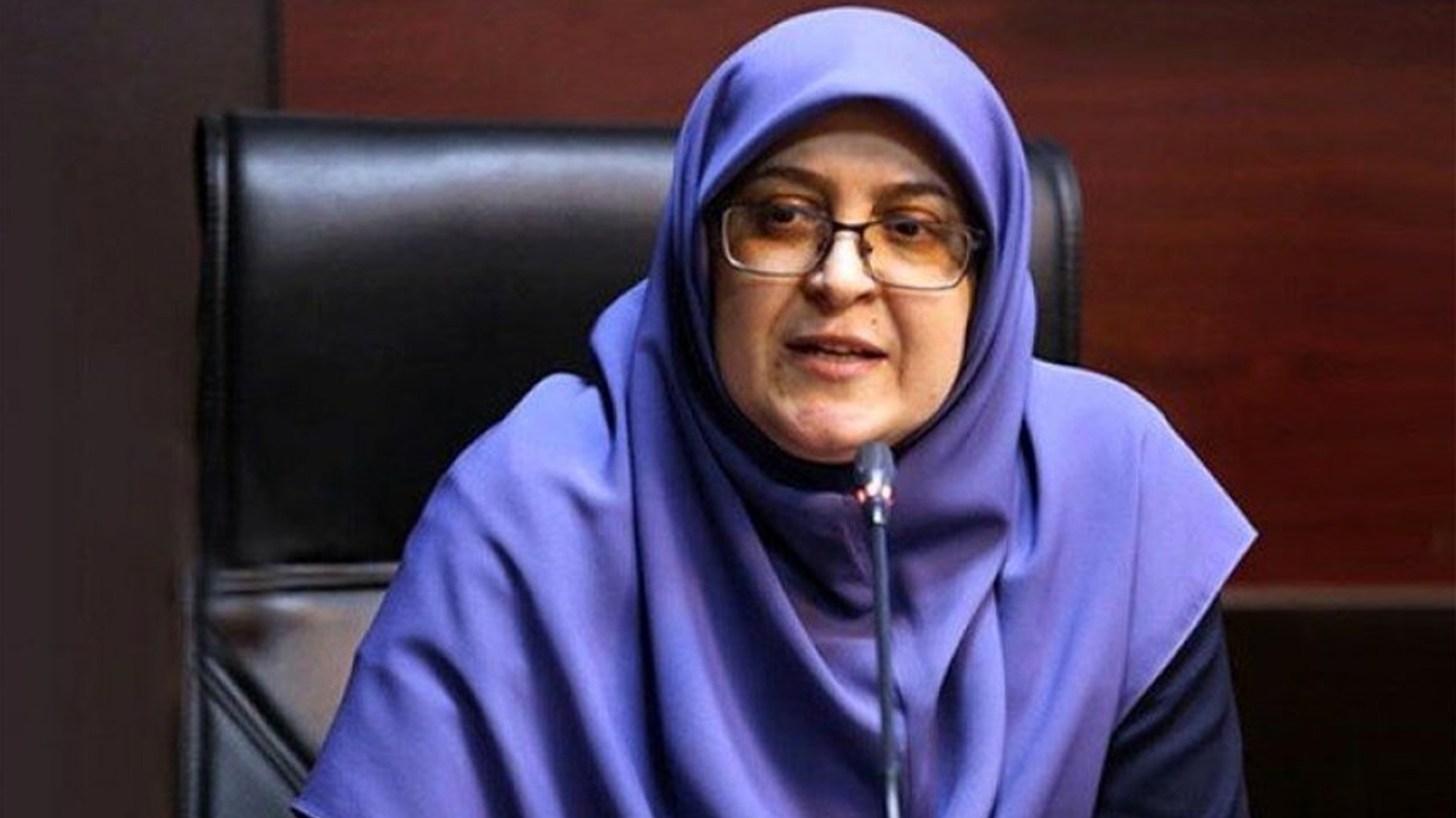 فاطمه مهاجرانی، سخنگوی دولت ایران
