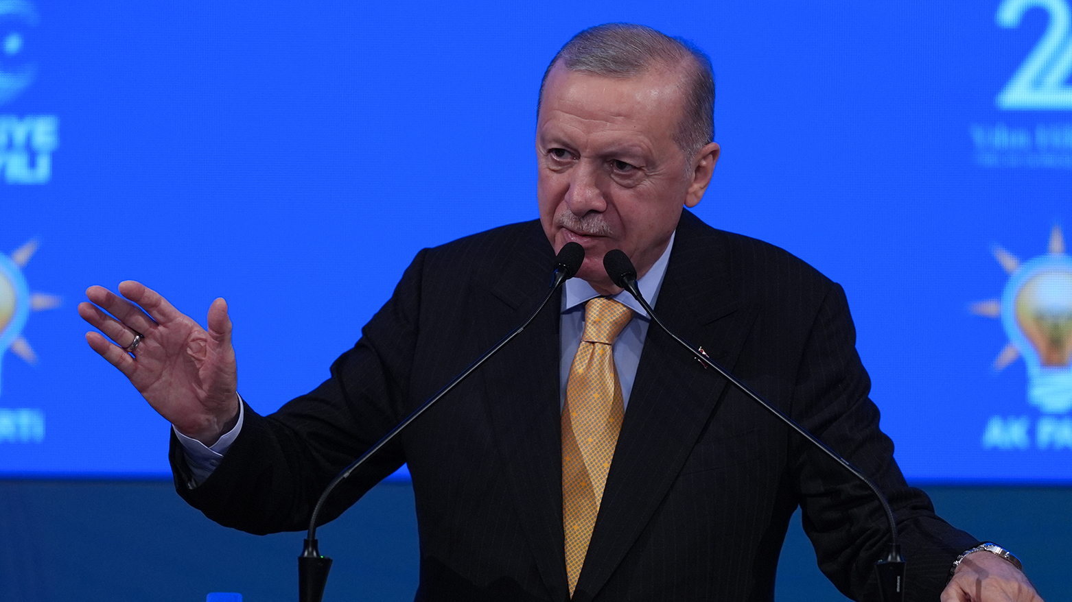 رجب طیب اردوغان، رئیس  جمهوری ترکیه
