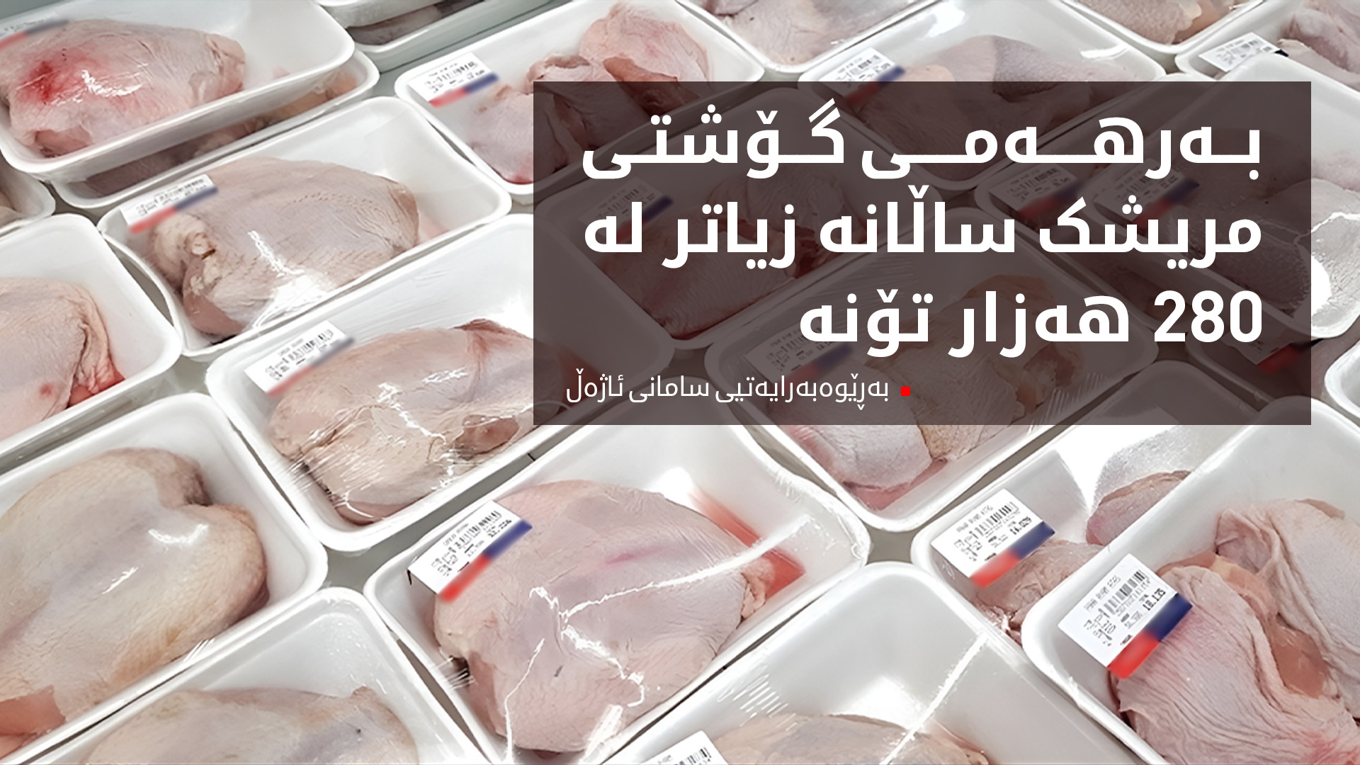 هەرێمی کوردستان.. بەرهەمی گۆشتی مریشک ساڵانە زیاتر لە 280 هەزار تۆنە