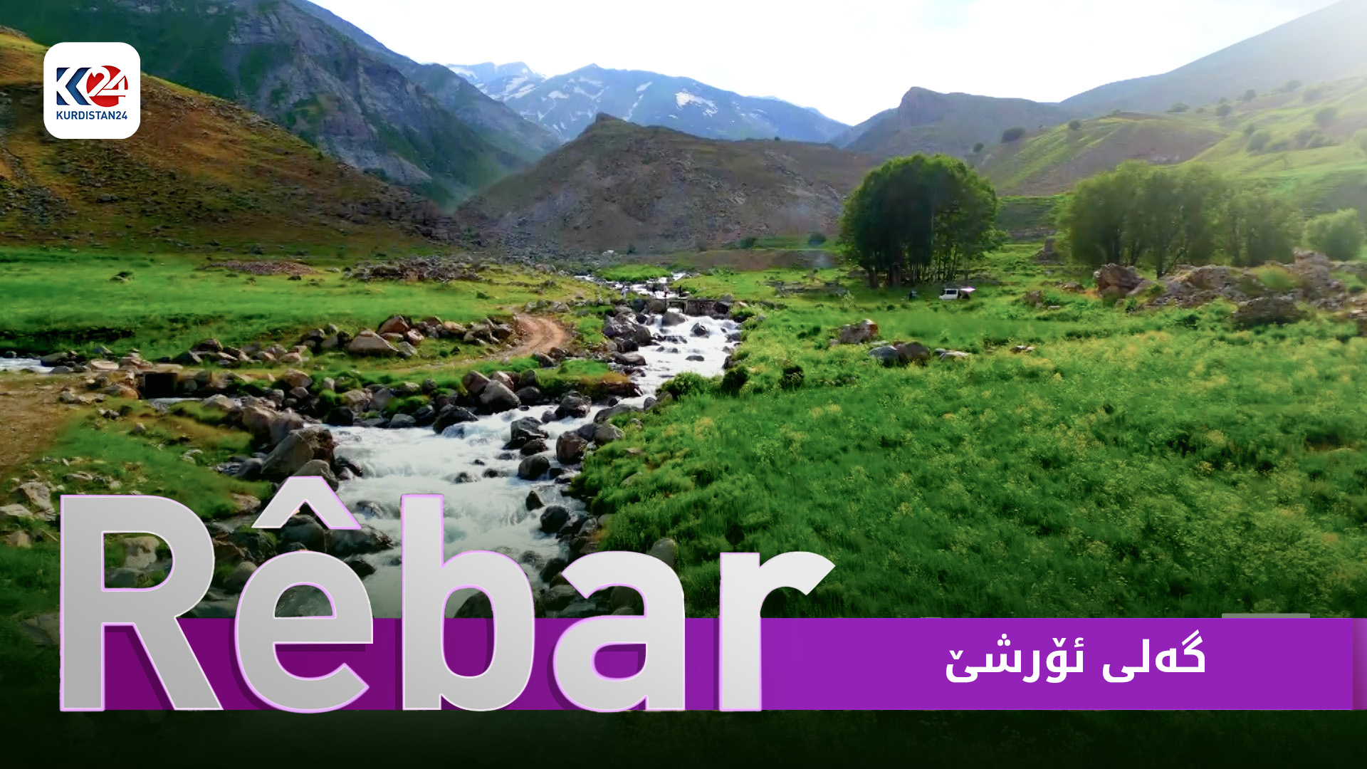 گەلی ئۆرشێ